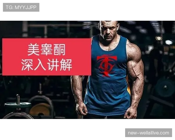 深入解析篮球规则中持球五秒违例的判定标准与适用场景 深入解析篮球规则中持球五秒违例的判定标准与适用场景