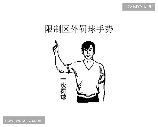 篮球规则中的争议球处理与判定方法,新手必备知识详解 篮球规则中的争议球处理与判定方法,新手必备知识详解