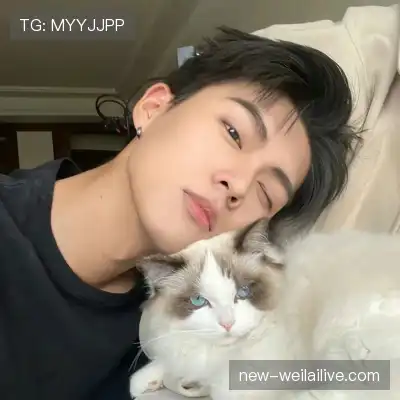 顾彩会
